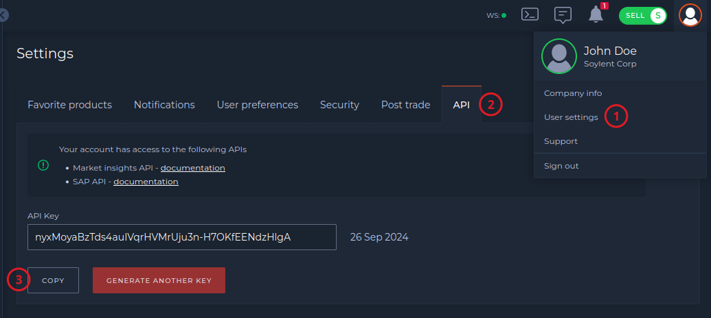 Screenshot: API key instructions